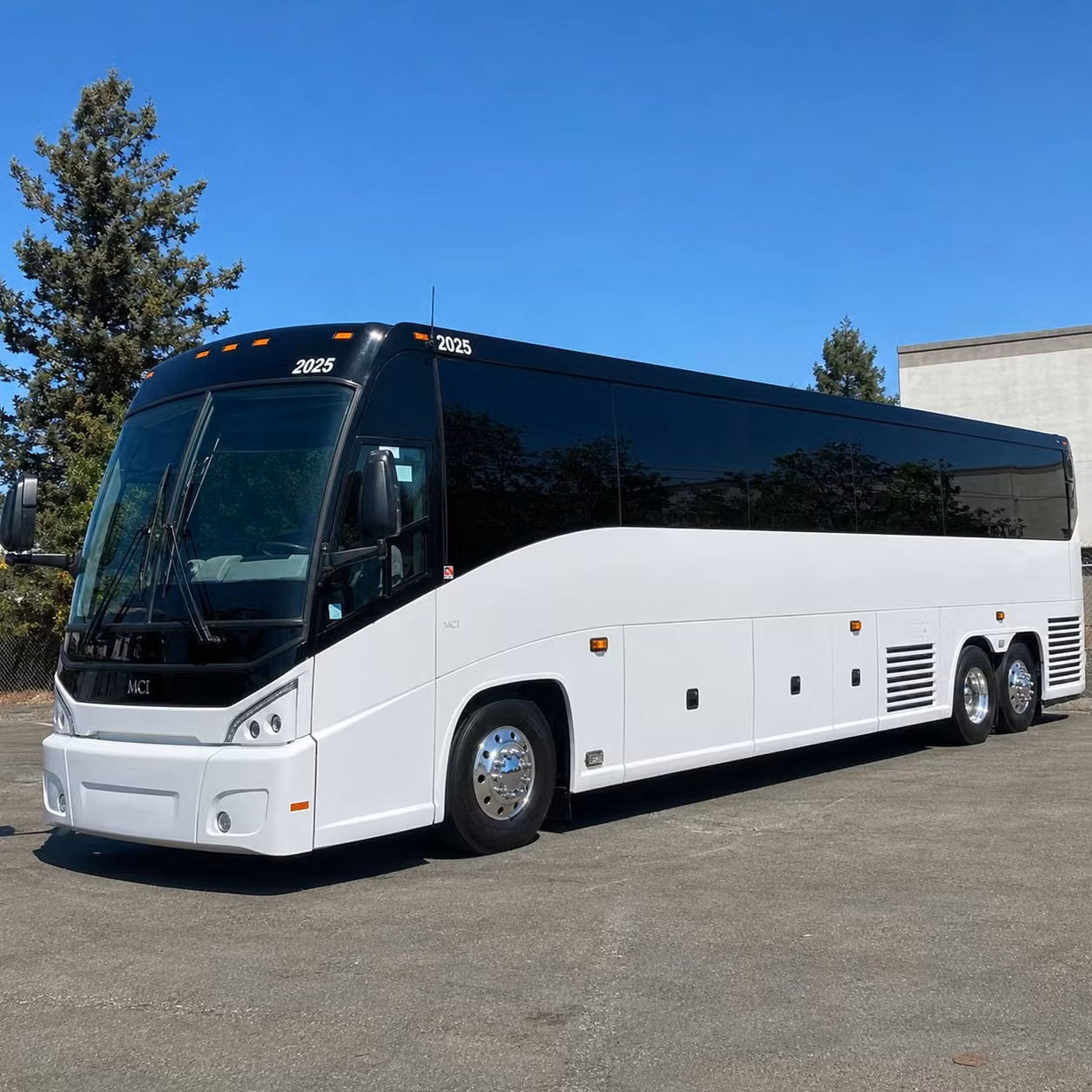 youth group and vbs transportation in odessa texas